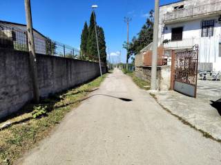 Zona