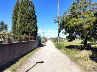 Zona