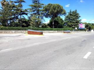 Zona