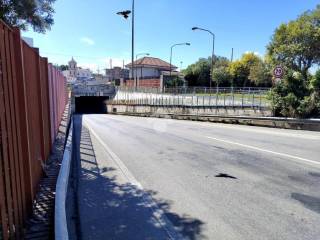 Zona