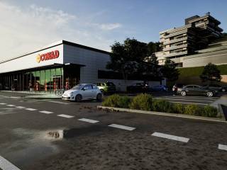 Zona