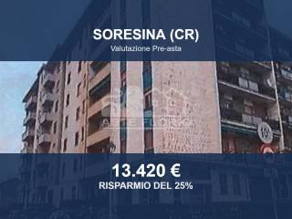 Zona