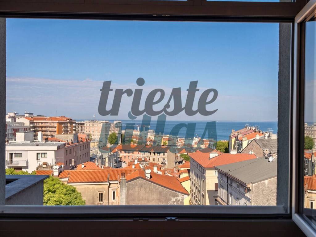 Vista