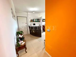 Ingresso