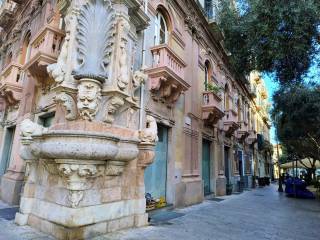 Zona