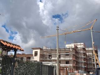 Zona