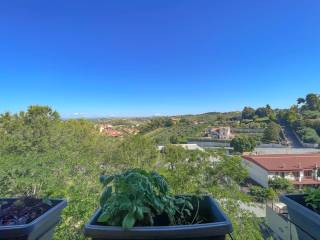 Vista