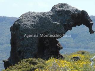 Zona