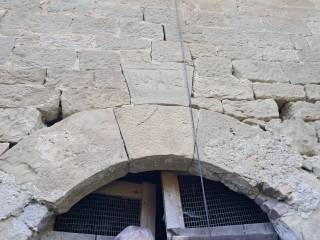 Zona