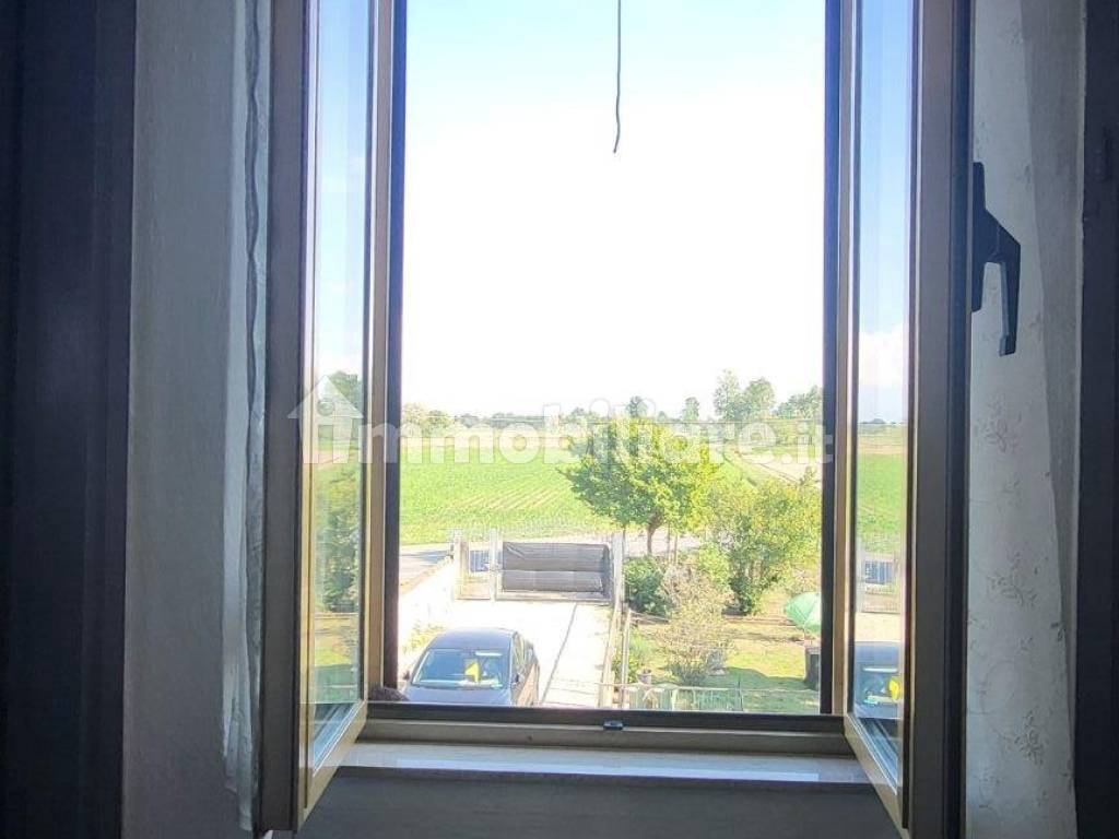 Vista