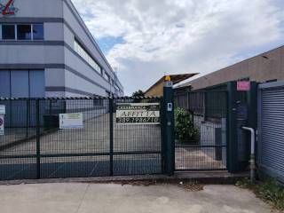 Ingresso
