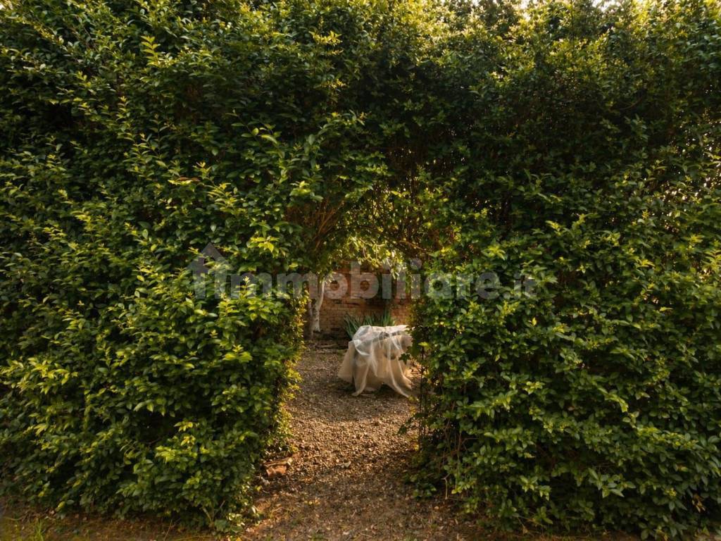 Giardino