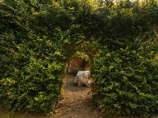 Giardino