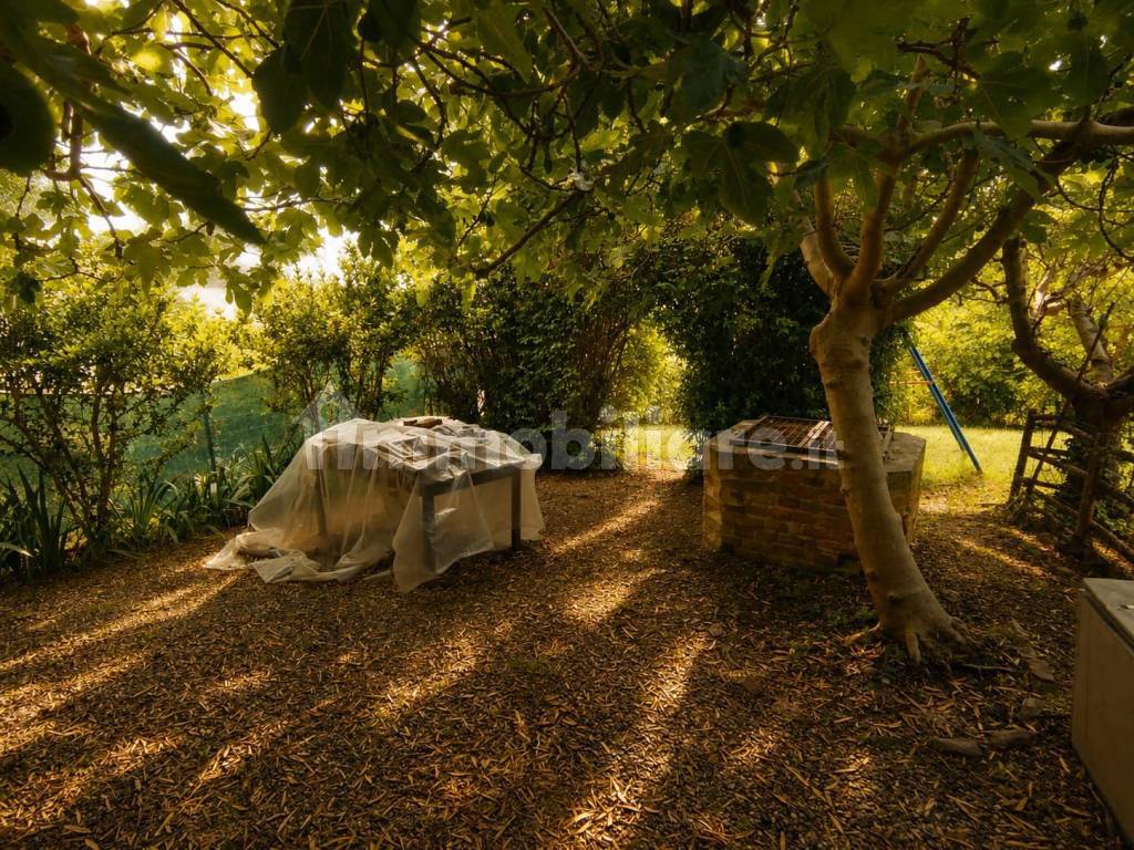 Giardino