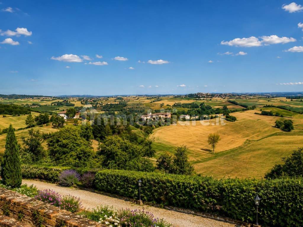 Vista