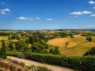 Vista