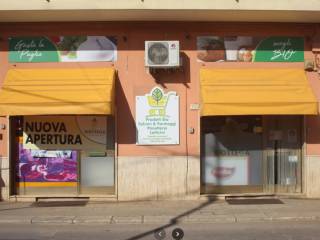 Ingresso