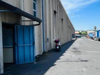 Zona