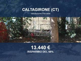 Zona