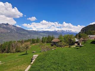 Vista
