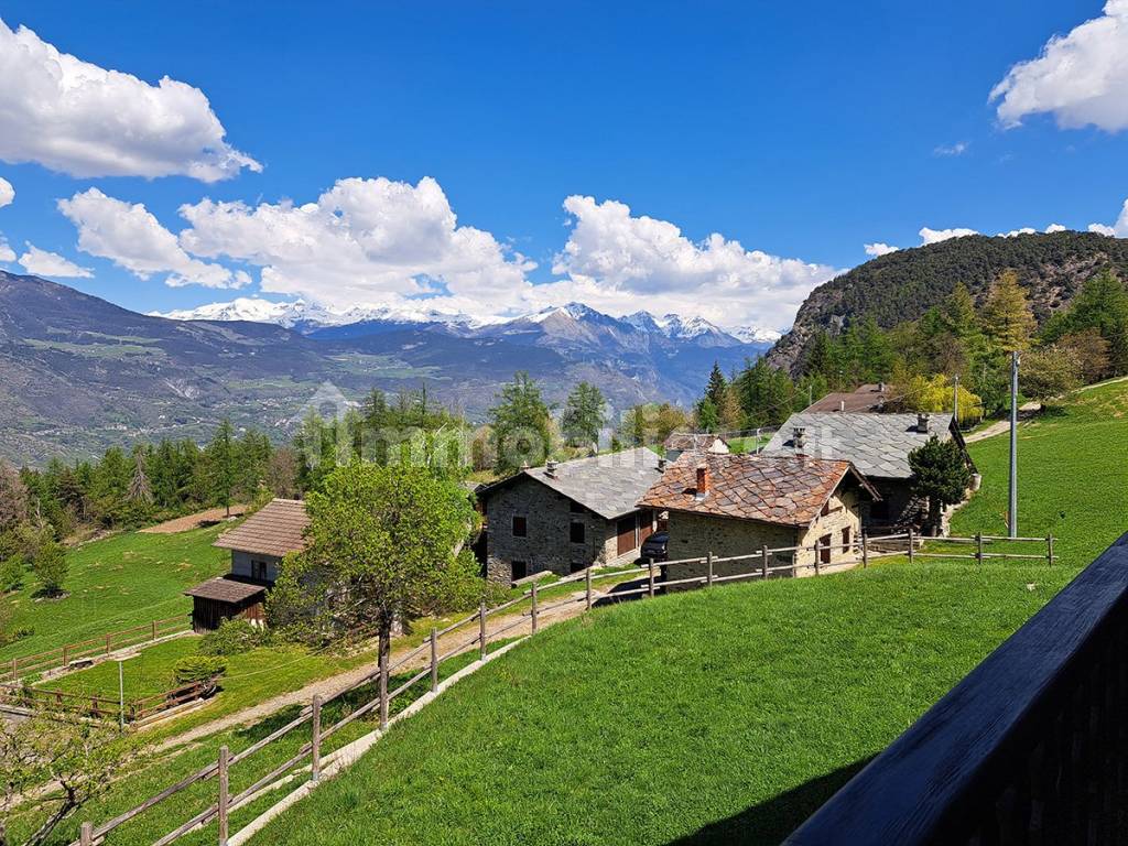 Vista