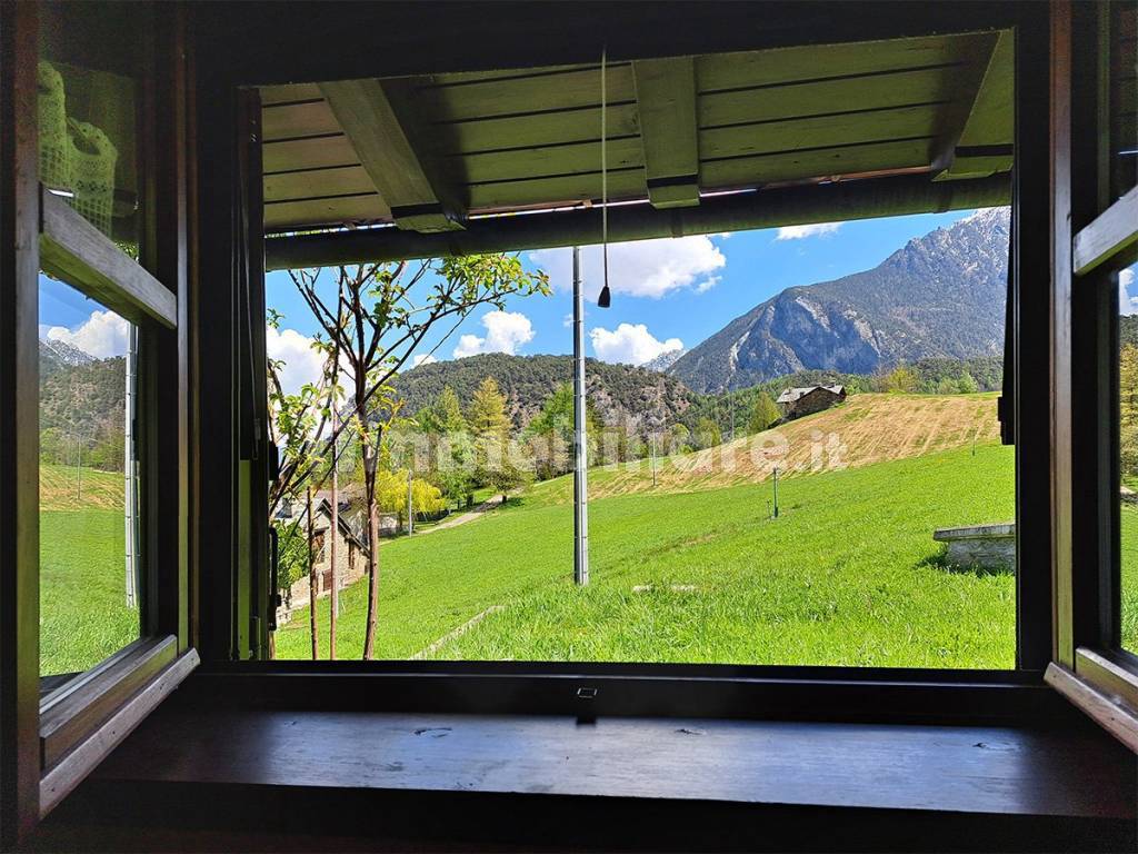 Vista
