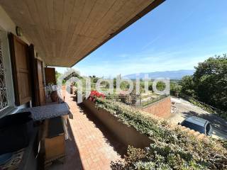 Terrazzo