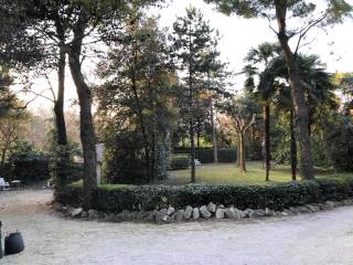 Zona