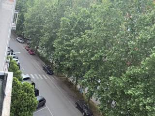 Vista