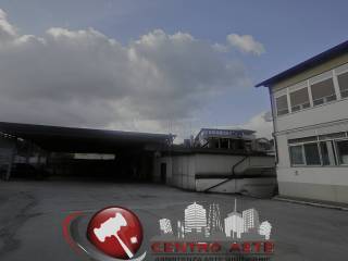 Zona