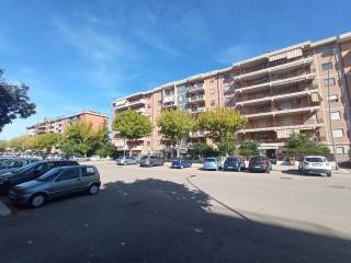 Zona