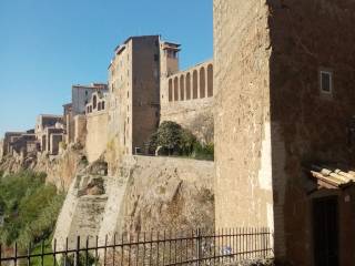 Zona