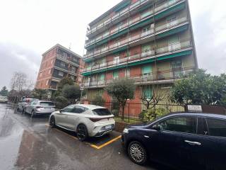 Zona
