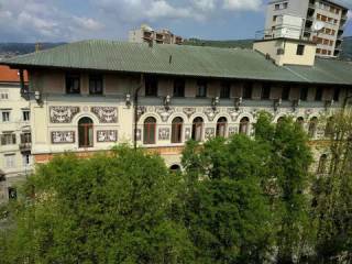 Zona