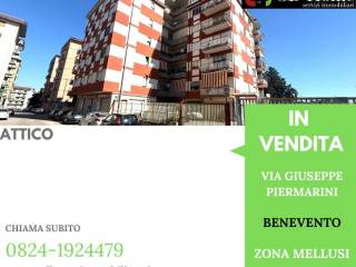 Zona