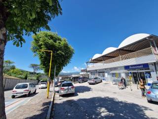 Zona