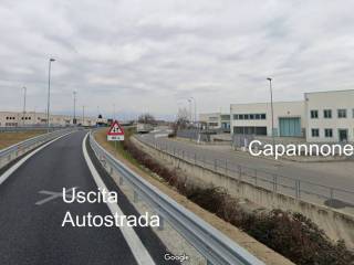 Zona