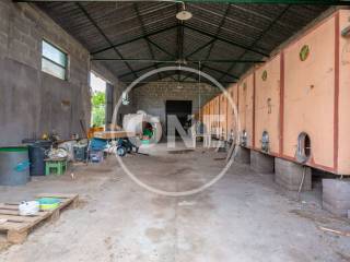 Magazzino