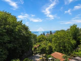 Vista