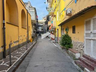 Zona