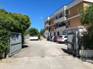 Zona