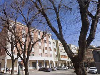 Zona