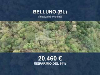 Altro