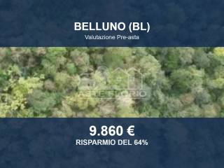 Altro