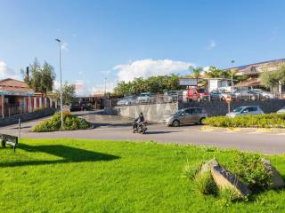 Zona