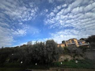 Vista