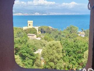 Vista