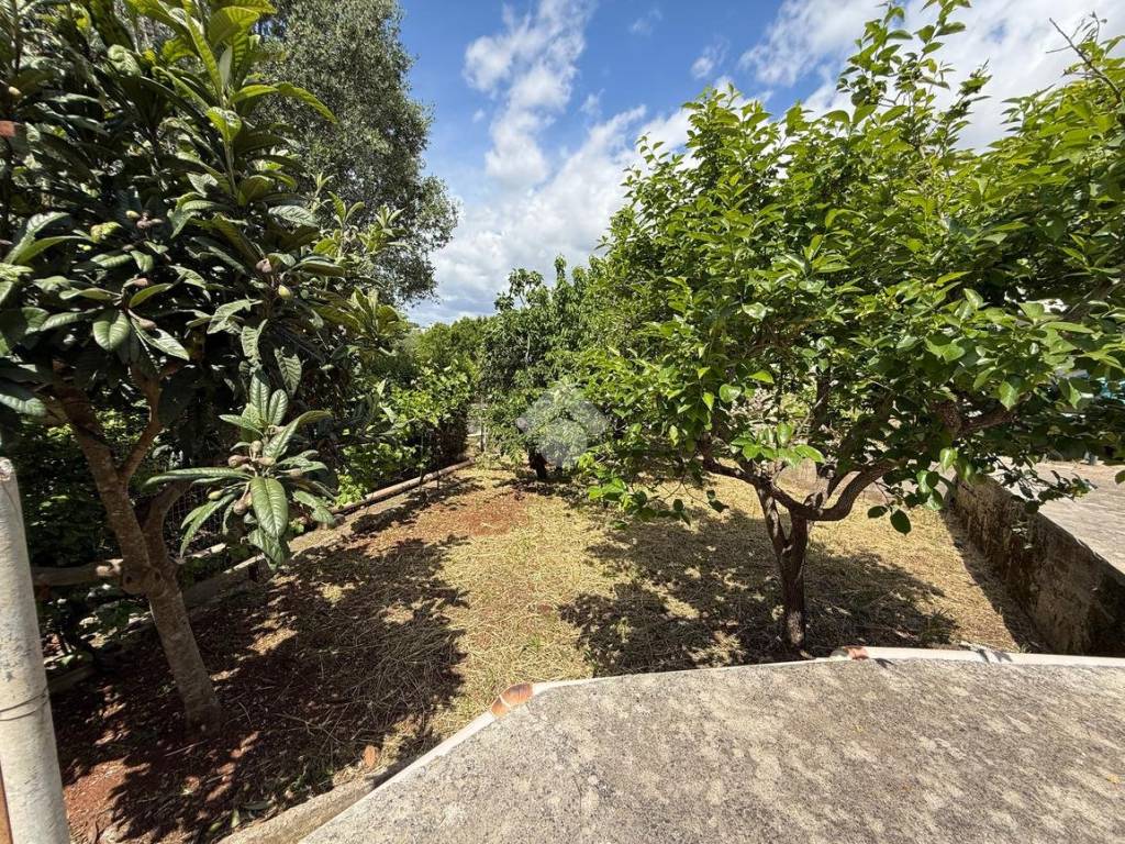 Terreno