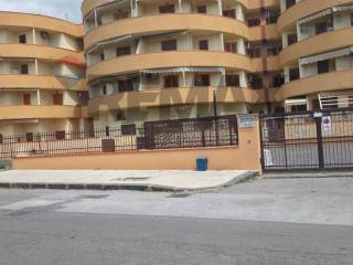 Zona