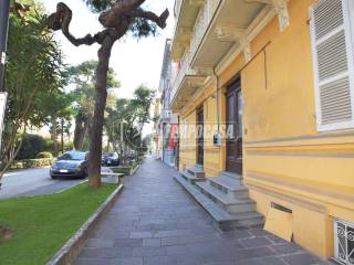 Zona